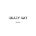 Crazy Cat Person Kiss-Cut Stickers