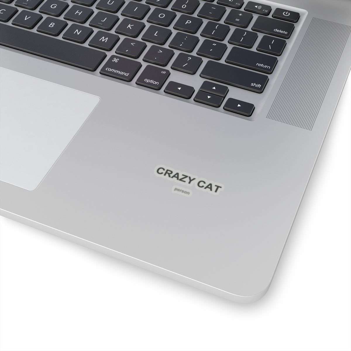 Crazy Cat Person Kiss-Cut Stickers
